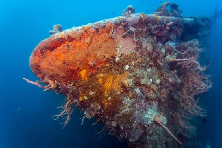 World War II shipwreck in Coron, the Philippines