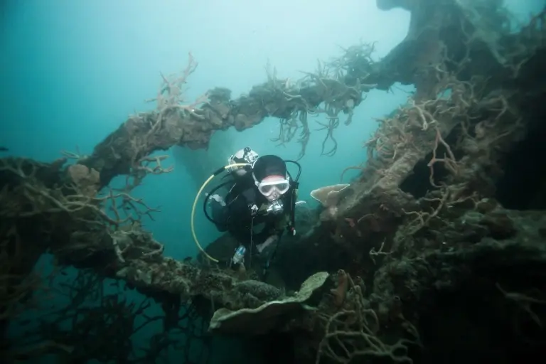 Diver exploring a World War II shipwreck in Coron, the Philippines