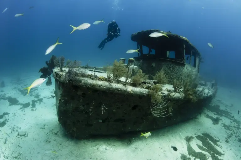 Diver exploring a shipwreck in Grand Bahama, the Bahamas