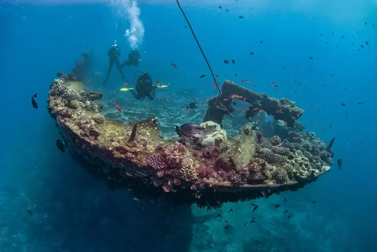 Divers exploring a shipwreck