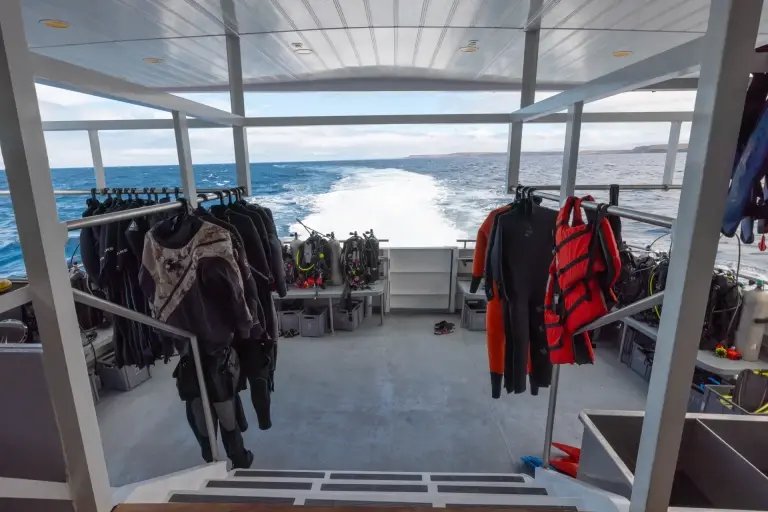 Dive deck on Galaxy Diver II, Galapagos Islands