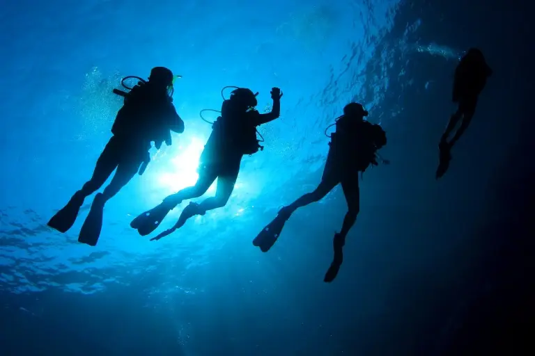 A group of scuba divers