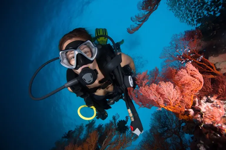 Scuba diver & coral reef in the Maldives