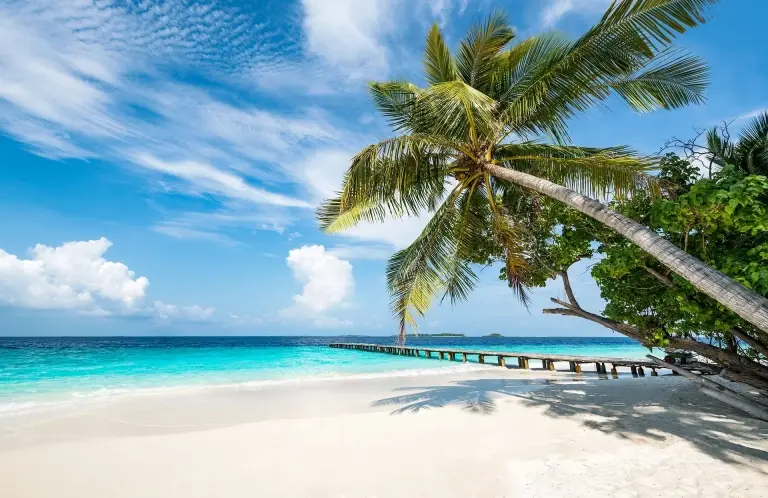 Beach scene in the Maldives