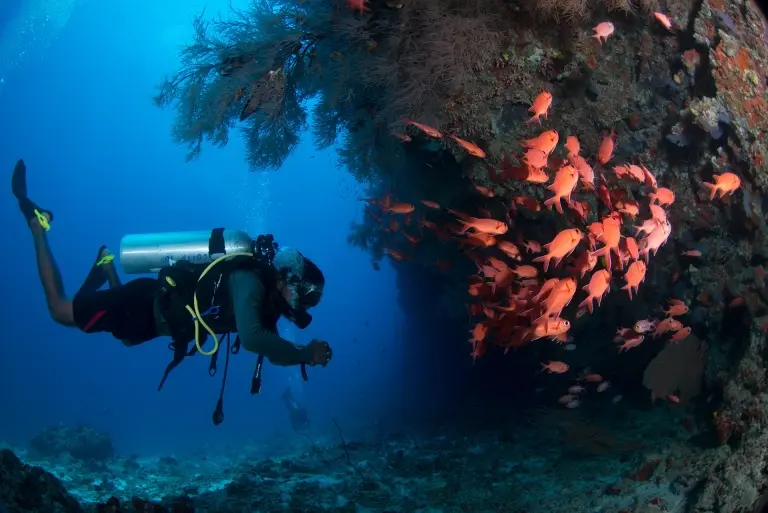 Diver at Okkobe Thila in North Male Atoll, the Maldives