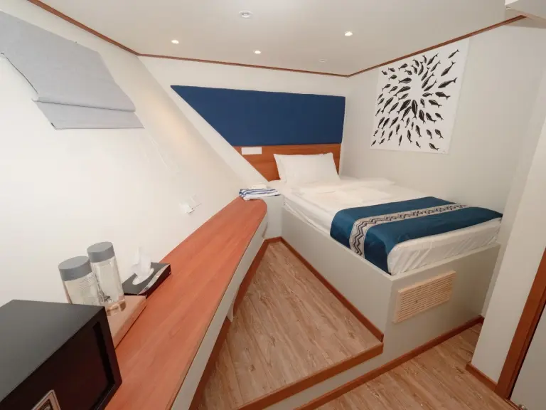 View of a single cabin on Seascape.