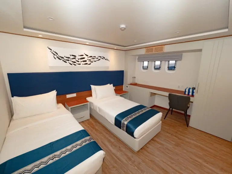 A twin cabin with desk, on Seascape.