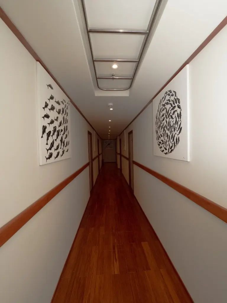 A lower deck corridor on Seascape.
