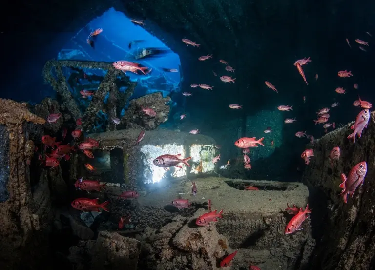 Thistlegorm wreck in Egypt