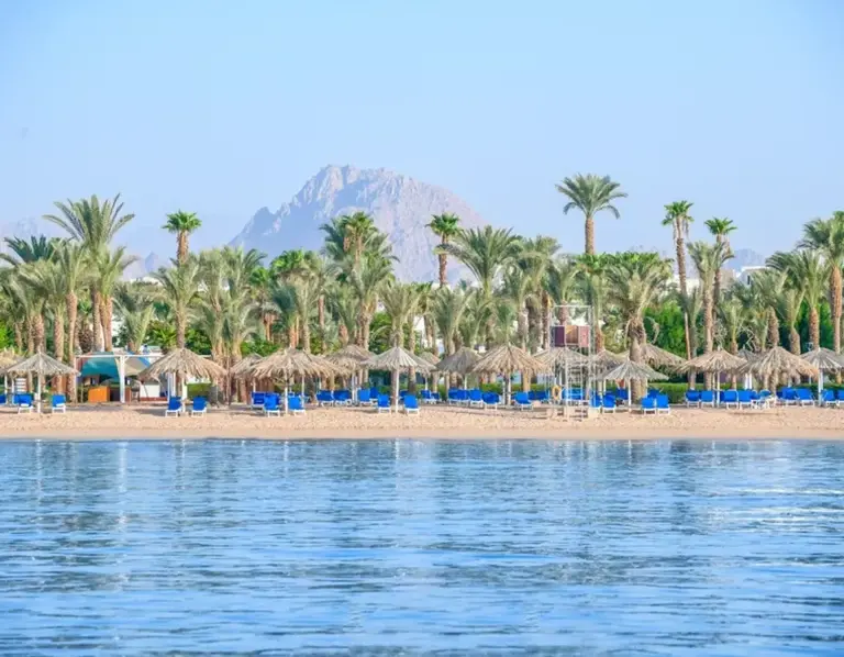 Beach at Jaz Sharm Dreams Resort, Egypt