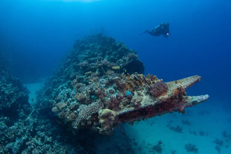 Shipwreck & diver in Egypt